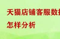 天貓店鋪客服數(shù)據(jù)怎樣分析？