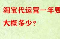 淘寶代運(yùn)營(yíng)一年費(fèi)用大概多少？