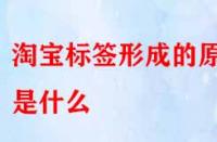 怎樣得到精準流量？淘寶標簽形成的原因是什么？