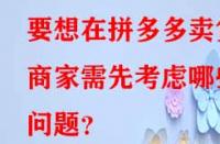 要想在拼多多賣(mài)貨商家需先考慮哪些問(wèn)題？