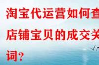 淘寶代運(yùn)營(yíng)如何查看店鋪寶貝的成交關(guān)鍵詞？