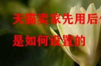 天貓賣家先用后付是如何設(shè)置的（先用后付的好處有哪些）