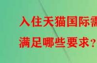 入住天貓國際需滿足哪些要求？