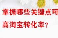 掌握哪些關(guān)鍵點(diǎn)可提高淘寶轉(zhuǎn)化率？