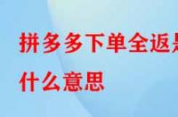 拼多多下單全返是什么意思？具體是如何操作的？