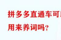 拼多多直通車可以用來養(yǎng)詞嗎？