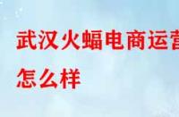 武漢火蝠電商運營怎么樣