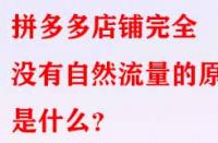 拼多多店鋪完全沒有自然流量的原因是什么？