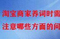 淘寶商家養(yǎng)詞時需注意哪些方面的問題？