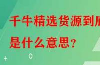 千牛精選貨源到底是什么意思？