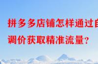 拼多多店鋪怎樣通過自動調價獲取精準流量？