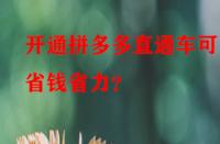 開通拼多多直通車可更省錢省力？